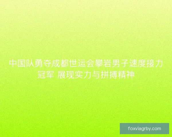 中国队勇夺成都世运会攀岩男子速度接力冠军 展现实力与拼搏精神 中国队勇夺成都世运会攀岩男子速度接力冠军 展现实力与拼搏精神